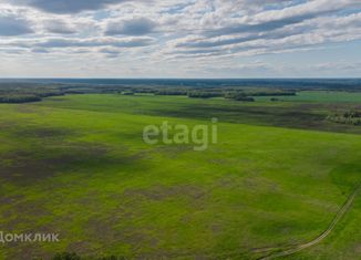 Продам участок, 14.5 сот., село Каменка, Школьная улица