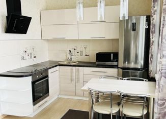 Сдам однокомнатную квартиру, 42 м2, Екатеринбург, улица Циолковского, 57, ЖК Das Haus