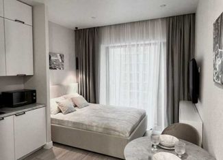 Сдам в аренду квартиру студию, 20 м2, Москва, Волоколамское шоссе, 95к6, метро Мякинино