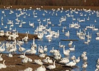 Продается земельный участок, 6.1 сот., Чернышевское сельское поселение