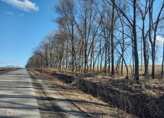 Продажа участка, 12.16 сот., село Дальняя Игуменка, Тенистая улица