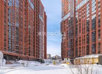 Продается квартира студия, 75 м2, Новосибирск, метро Берёзовая роща, улица Кошурникова, 22/3