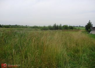Продажа участка, 160 сот., деревня Капитолово