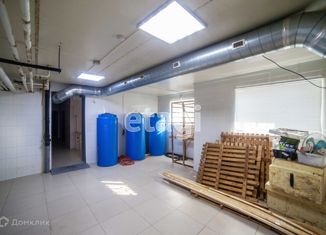 Офис на продажу, 250 м2, село Мирное, Рабочая улица