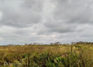 Продам земельный участок, 10 сот., деревня Мокино, Центральная улица