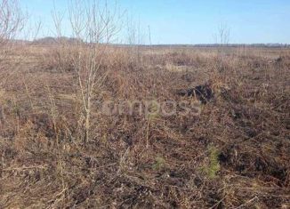 Участок на продажу, 12.2 сот., деревня Зырянка