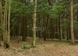 Земельный участок на продажу, 100 сот., деревня Моховатка, Лесная улица