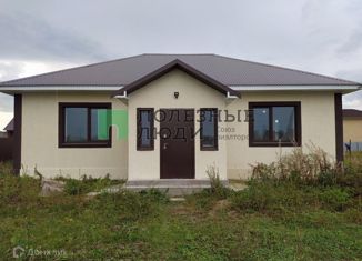 Продам дом, 96.9 м2, деревня Елкибаево, Деловая улица, 15В