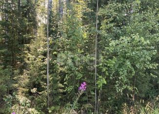 Продажа участка, 10.2 сот., территория Эжвинский