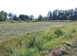 Продаю земельный участок, 14 сот., деревня Климовка, деревня Климовка, 49