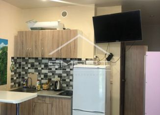 Квартира на продажу студия, 23 м2, Ольгинка, Заречная улица, 7Б