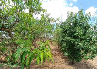 Продажа земельного участка, 10 сот., село Орехово, улица Энтузиастов