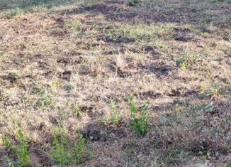 Продажа участка, 5 сот., СТ Сигнал, СТ Сигнал, 426