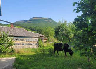 Продается дом, 50 м2, станица Эриванская, улица Ленина