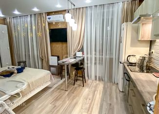 Квартира на продажу студия, 26.1 м2, село Тополево, Зелёная улица, 40