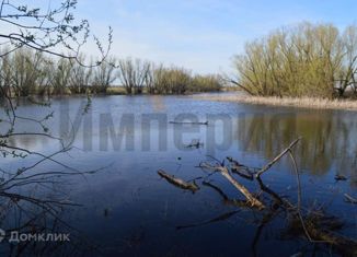 Продажа участка, 200 сот., Ершов, Интернациональная улица