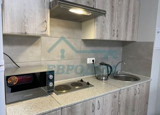 Сдаю в аренду квартиру студию, 33 м2, Новосибирск, Вертковская улица, 121, Вертковская улица