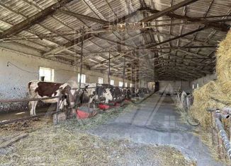 Дом на продажу, 1000 м2, село Привольное