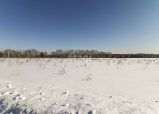 Продается участок, 400 сот., деревня Ермолина, Луговая улица