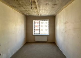 Продажа 1-ком. квартиры, 30.8 м2, Михайловск, улица Ишкова, 103