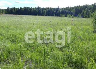 Продаю участок, 601.4 сот., село Червишево