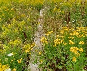 Участок на продажу, 13.8 сот., деревня Лесная, Центральная улица, 28