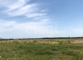 Продажа участка, 5 сот., СНТ Белгорос, Новгородская улица