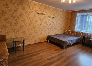 1-ком. квартира в аренду, 30 м2, Нижегородская область, улица Шаляпина, 18