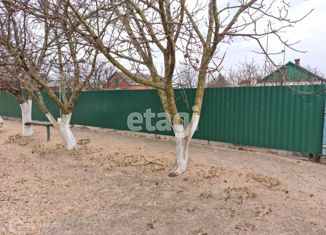 Продам дом, 40 м2, станица Камышеватская