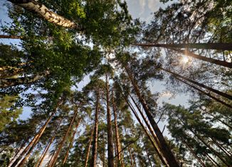 Продается участок, 286 сот., село Петрово-Дальнее, территория пансионат Петрово-Дальнее, 1