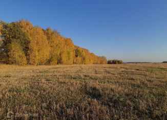 Продам земельный участок, 428 сот., поселок Ключи