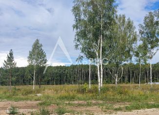 Продам земельный участок, 40 сот., деревня Животинки, 1-я Благодатная улица