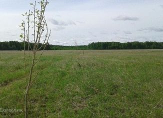 Земельный участок на продажу, 30 сот., деревня Андреевское