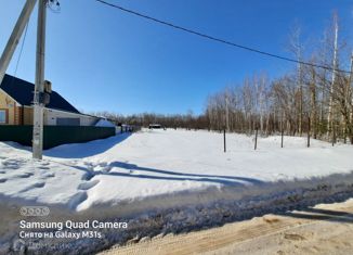 Продаю земельный участок, 15 сот., село Шелокша, Вишнёвая улица, 67