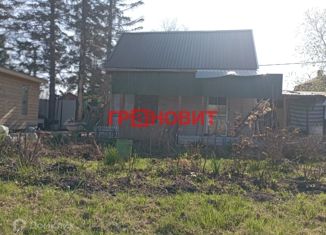 Дом на продажу, 35 м2, Новосибирск, садовое товарищество Банковец, 45