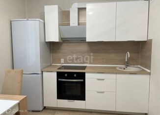 Сдаю в аренду двухкомнатную квартиру, 57 м2, хутор Ветряк, Выборская улица, 15