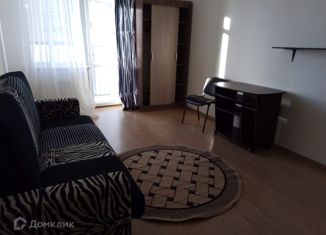 Квартира в аренду студия, 32 м2, Санкт-Петербург, улица Катерников, 7, улица Катерников