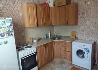 Сдам 3-ком. квартиру, 73.1 м2, Челябинск, улица Доватора, 6Б, Советский район