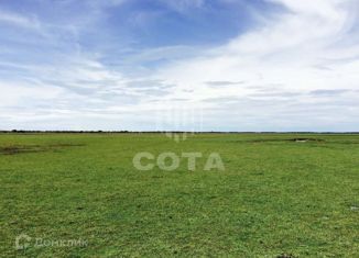 Продам участок, 9.41 сот., село Новая Усмань, Луговая улица