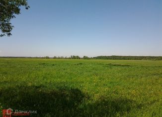 Продается земельный участок, 170 сот., деревня Старая, Колтушское шоссе