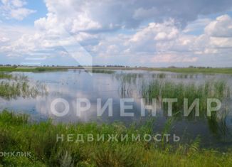 Продажа земельного участка, 19.51 сот., деревня Подкорытова, улица Жукова, 95