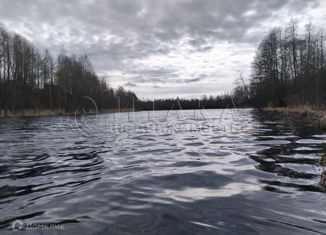 Продажа участка, 154 сот., деревня Нежадово