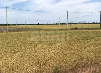 Продам участок, 5 сот., хутор Новоалександровка, Луговой переулок