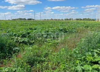 Продам земельный участок, 12 сот., село Гремячее, улица Новики