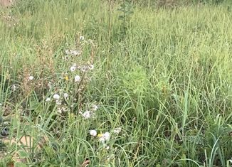 Земельный участок на продажу, 15 сот., деревня Животинки, 1-я Благодатная улица