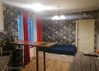 1-ком. квартира на продажу, 39.5 м2, Санкт-Петербург, Афанасьевская улица, 1, Афанасьевская улица