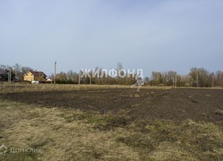 Продаю участок, 36 сот., деревня Паньково (Неполодское сельское поселение), Центральная улица