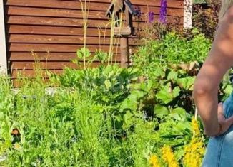 Продажа дома, 54 м2, Верхняя Пышма, СНТ Жасмин, 32