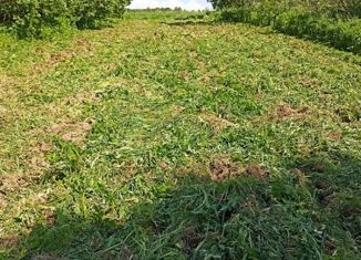 Участок на продажу, 50 сот., деревня Соболевка, 29Н-315