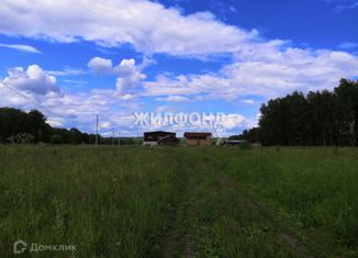 Продажа участка, 16 сот., посёлок Октябрьский, Октябрьская улица